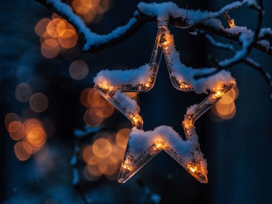 Weihnachtsfunkeln im eigenen Garten! Baubeginn erfolgt!