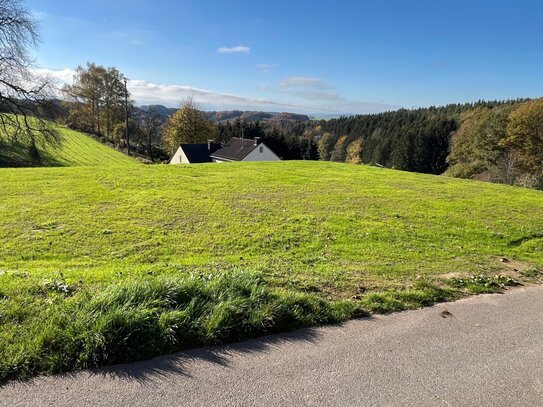 Baugrundstücke mit einer unverbaubaren Aussicht in Wißmannsdorf-Koosbüsch.