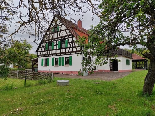 Schöne Hofstelle mit viel Potential zur Hobby-Tierhaltung im Großraum Mannheim