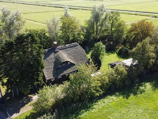 Ein Reetdachhaus, wie es im Buche steht: Wohnlich, gemütlich, mit viel Platz und Natur!