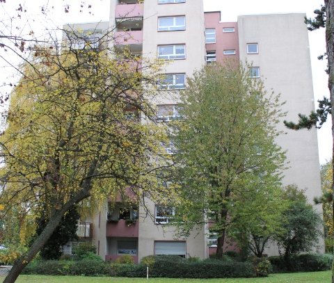 Großzügig geschnittene 2-Zimmer-Wohnung mit Ausblick sucht neue Mieter! Mit Balkon, TGL-Bad und neuem Fußboden