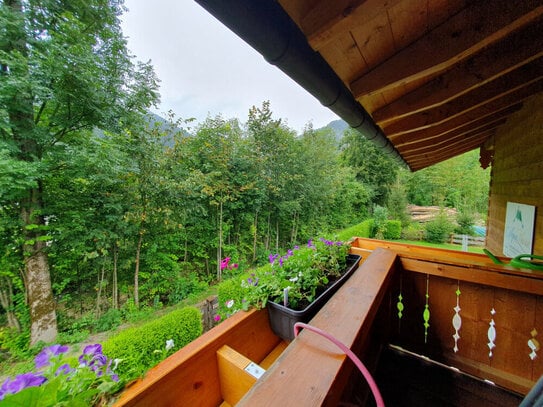 Möbliertes tolles Appartement mit Balkon! Schwimmbad und Sauna im Haus!