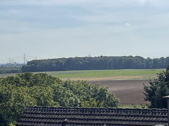 Liederbach am Taunus - 3 Zimmer Wohnung mit Balkon - liebevoll renoviert - mit schönem Blick in die Weite