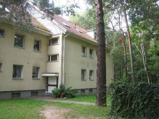 Renovierte große 1,5 Zimmer Wohnung - Photo 1