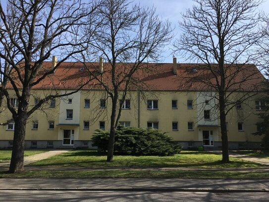 4-Zimmer-Erdgeschosswohnung mit Gartennutzung am Rosengarten