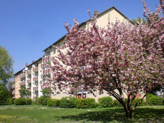 Schöne 2-Zimmerwohnung mit Balkon in Eckenheim