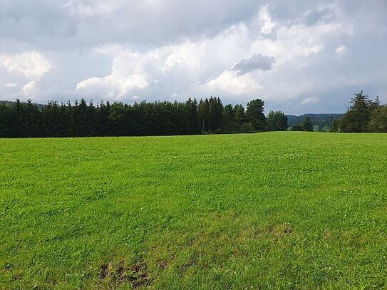 Land.- und forstwirtschaftlich genutzte Grundstücke mit einer Gesamtgröße von 31.295 m² • Gemarkung Friesenried • keine…