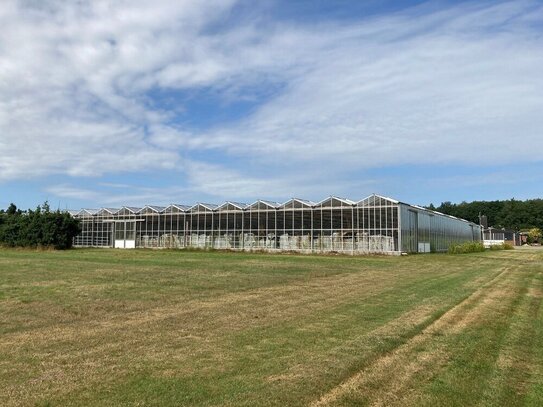 ca. 10,3 ha Grundstück im Raum Großenkneten mit Gewächshäuser, Hallen, Wohnhaus u. Teichanlage