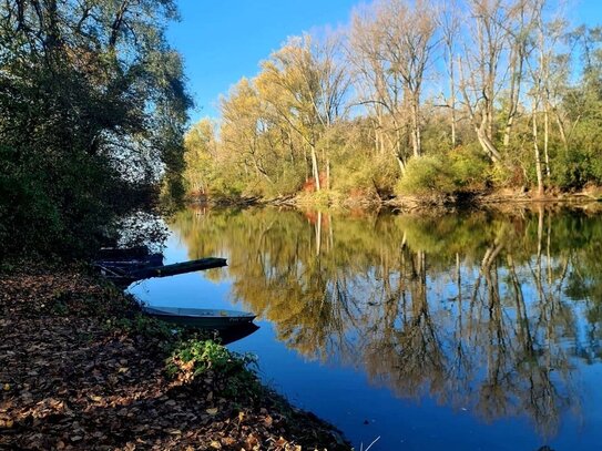 Wohnen im Paradies Nähe Speyer 2 ZKB/ incl.Küche, ideale Lage in der wunderschönen Natur und B9 - wie DB- Nähe in nur 5…