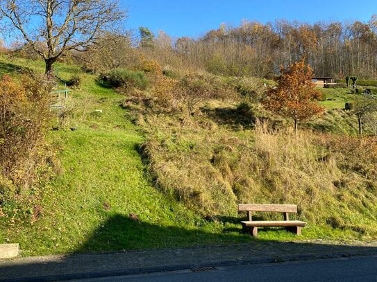 Grundstück für Bauherren mit viel Platzbedarf in Flörsbach!