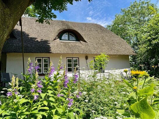 Ruheinsel auf dem Land