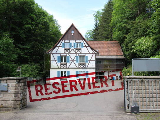 Historische Mühle - Alleinlage - in Blumberg: Renovierte Gewerbeimmobilie mit Charme und Potenzial zur Wohnnutzung!