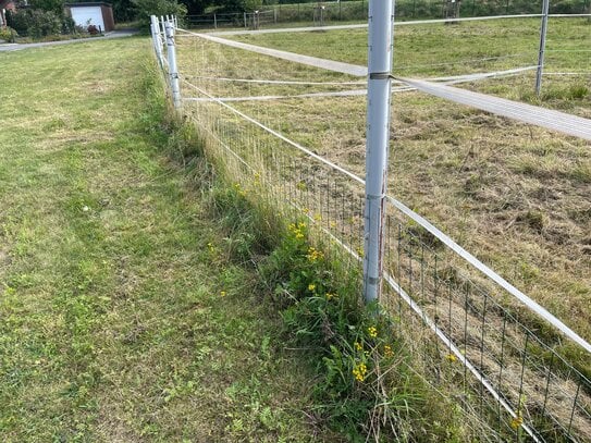 Baugrundstück in exponierter und ruhiger Wohnlage von Steinhagen-Amshausen zu verkaufen