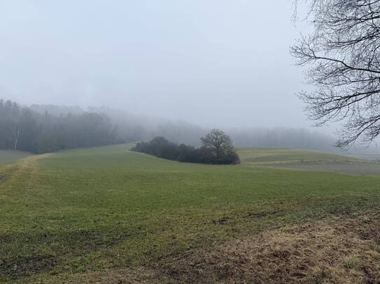 Tolles Grünland in Zusmarshausen