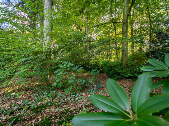 Zwischen Bille und Sachsenwald: Ca. 2.200 m² Baugrundstück in exklusiver Lage