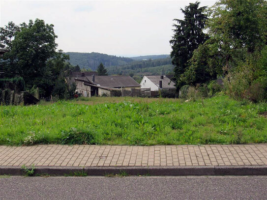 Schönes Grundstücke für Ihr Traumhaus im Kannenbäckerland - Verbandsgemeinde Höhr-Grenzhausen!