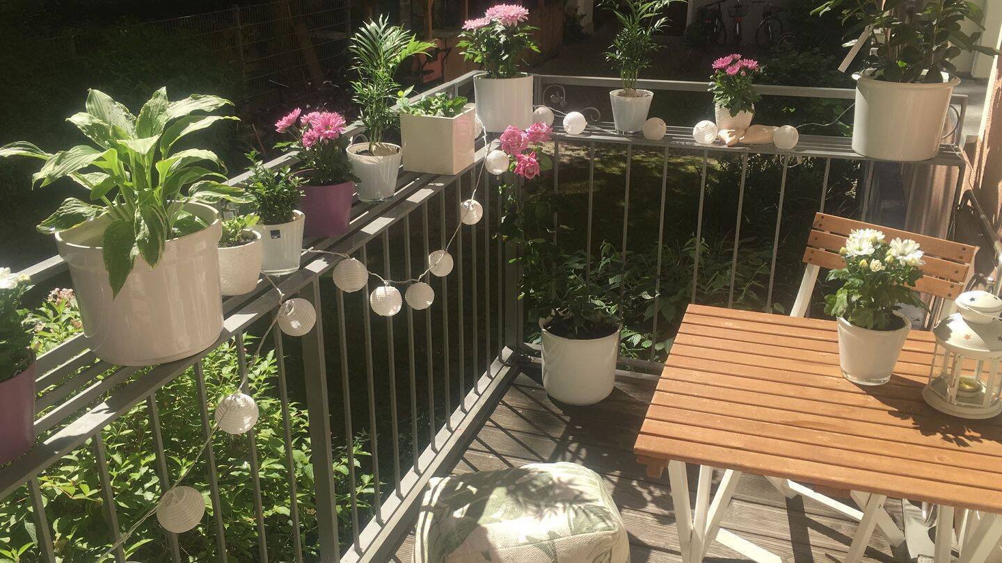 UNTERMIETE: Zentrale, schöne Altbauwohnung mit Balkon - Photo 1