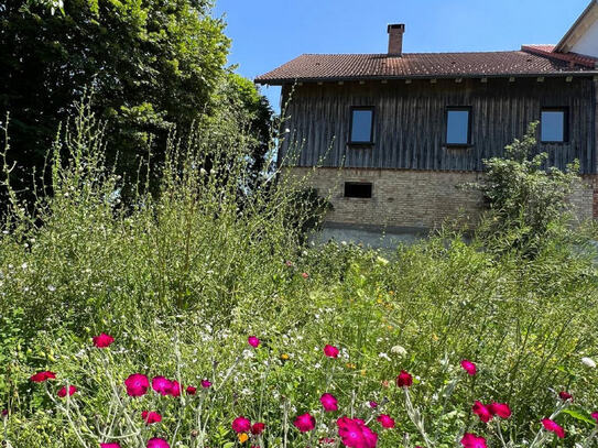 Anteil eines ehemaligen Bauernhauses in ruhiger Lage südlich von Wangen