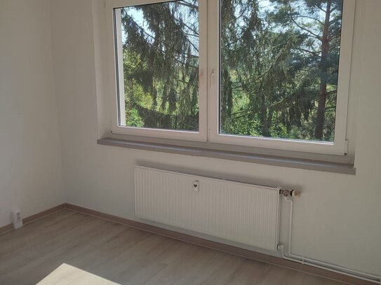 frisch renovierte 2-Raum Wohnung mit Balkon