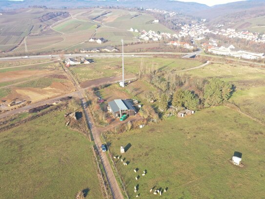 Landwirtschaftliches Grundstück mit Stall vorderer Rheingau