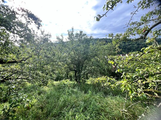 ** GARTEN MIT POTENTIAL: In Aussichtslage zw. Obertürkheim und Uhlbach * ca. 878 qm