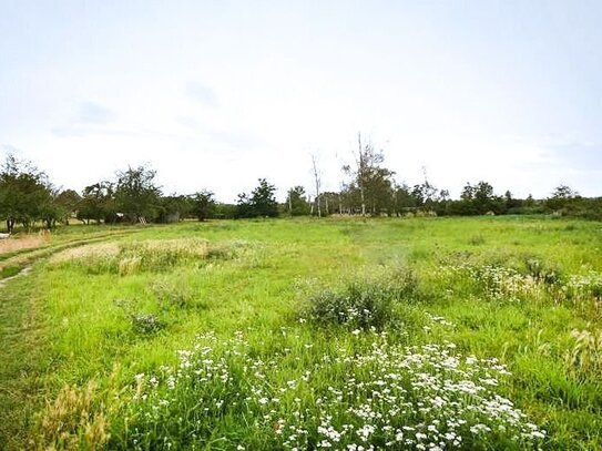 Bauherr gesucht! 19.223m² großes Baugrundstück in Hausneindorf...