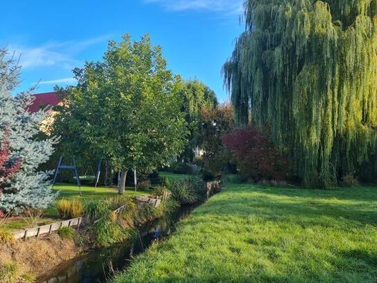 Ein Traum! Tolle Randlage von Magdeburg und mitten im Grünen.