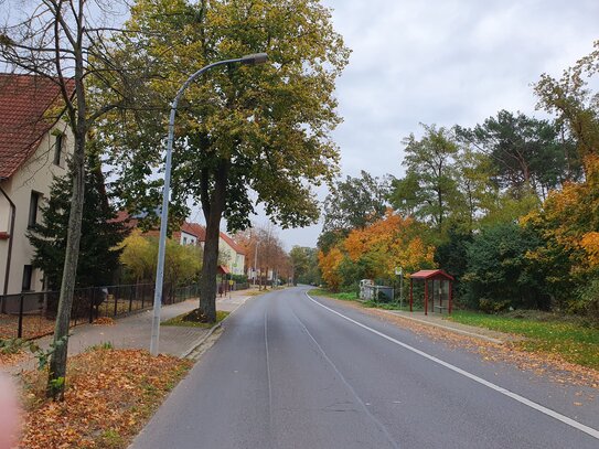 14959 Trebbin/OT Thyrow: Attraktives Baugrundstück in Ortslage für großzügige Bebauung, prov.