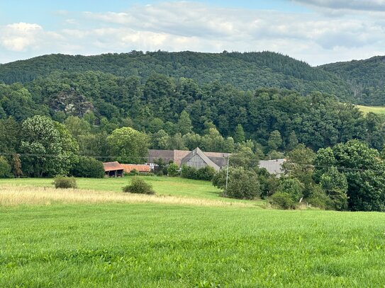 Idyllischer Hof mit Potenzial und modernisierter Scheune – Ihre Oase in der Nähe des Diemelsees