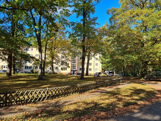 Große sanierte Wohnung direkt am Grunewald*Balkon*PKW-Stellplatz*Einbauküche*