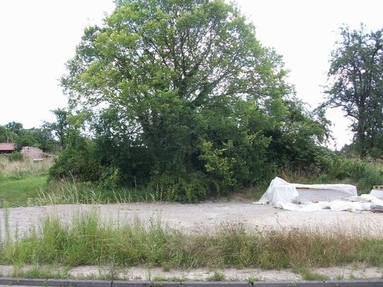 Gemeinde Briesen (Mark): Baugrundstück in ruhiger Ortsrandlage mit Südausrichtung, prov.