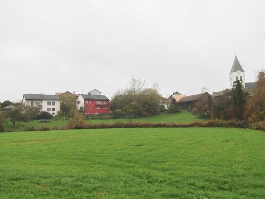 Schönes Grundstück mit viel Potenzial in vorteilhafter Lage in Meidendorf