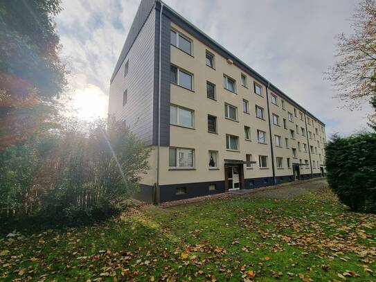 Schöne 3 Zimmer Wohnung ab sofort zu vermieten