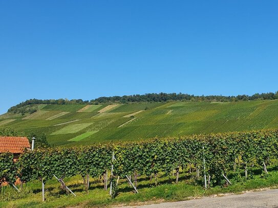 Bauplatz - Toplage - Unter den Weinbergen - Weinstadt-Großheppach