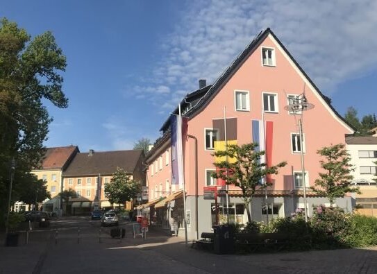 Beste Lage Marktplatz, 80m zur Hochschule, 40m zum Edeka. Bäcker, Metzger und Drogeriemarkt direkt vor der Haustüre. Br…