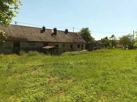 Bauernhaus,Scheune,Einliegerwohnung,Wiese,Balkon,teilsaniert