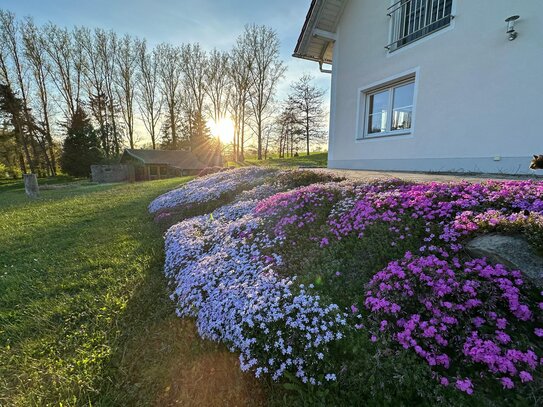 Traumhaus in idyllischer Lage in Vilshofen (Grafenmühl)