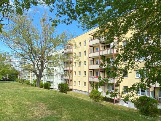 Geräumige und helle 4-Raum-Wohnung mit Balkon