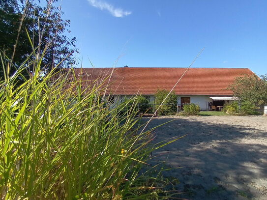 Großzügiges Bauernhaus mit Wiesen - Pferdehaltung möglich!