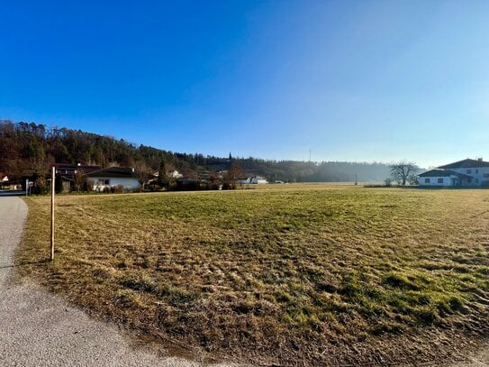 +++ÖSTERREICH+++ DREI GROßE BAUGRUNDSTÜCKE ! 1089 m² - 1091 m² - 1158 m² KEIN BAUZWANG / DORFGEBIET -