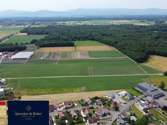 Mehrere Baugrundstücke in Bindernheim in direkter Nähe zu Rust & Ettenheim