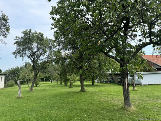 Sonniges Baugrundstück in Ilsenburg