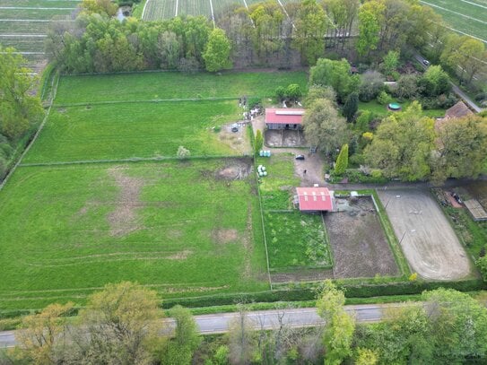 Pferdezuchtbetrieb in Emstek im Herzen des Oldenburger Münsterlandes zu verkaufen