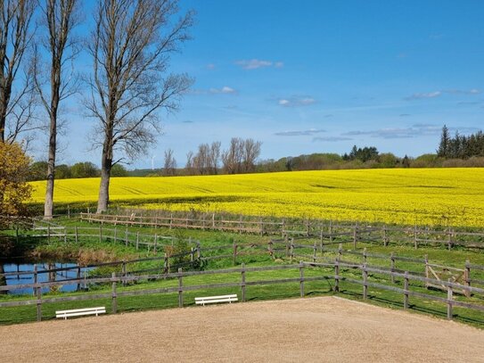 Liebevoll restaurierter Resthof mit Einliegerwohnung, Stallungen und professionellem Reitplatz