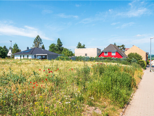 +++Ihre Chance zum Selbstverwirklichen: Reihenhaus in Frankenberg wartet auf Sie!+++Haus 2