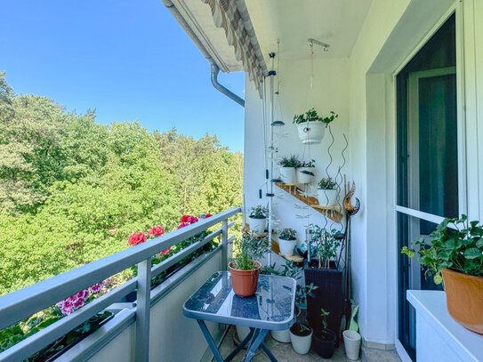 Bezugsfreie, schön renovierte Familienwohnung mit Balkon & Weitblick zum Wald "Ravensberge"