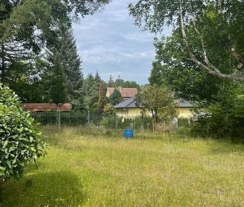 Kleinod mitten in der Natur 40 Minuten mit der S-Bahn im Herzen Berlins