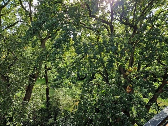 Poppenbüttel: Sehr schöne, helle, uneinsehb., möbl. Whg., Blick über Alstertal