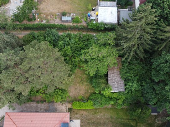 Idyllisches Baugrundstück südöstlich von Berlin - direkt am Wald und in Seenähe