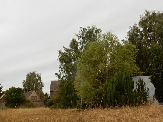 7300 m² Bauland für Projektentwickler, optimale Anbindung nach Halle und zur Autobahn